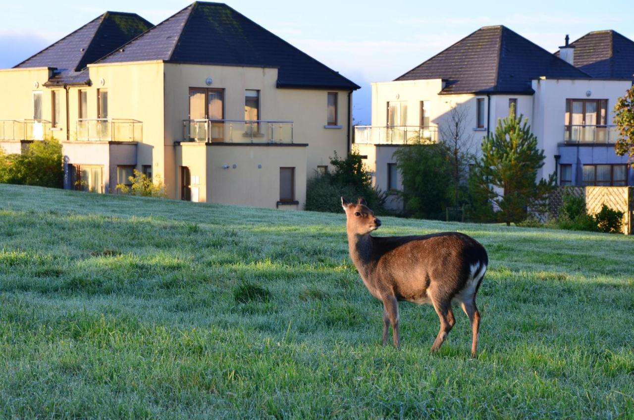 Waterford Castle Hotel & Golf Resort Ballinakill  Esterno foto