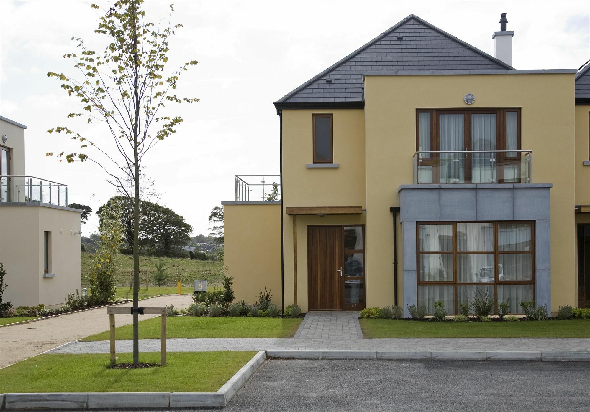 Waterford Castle Hotel & Golf Resort Ballinakill  Esterno foto