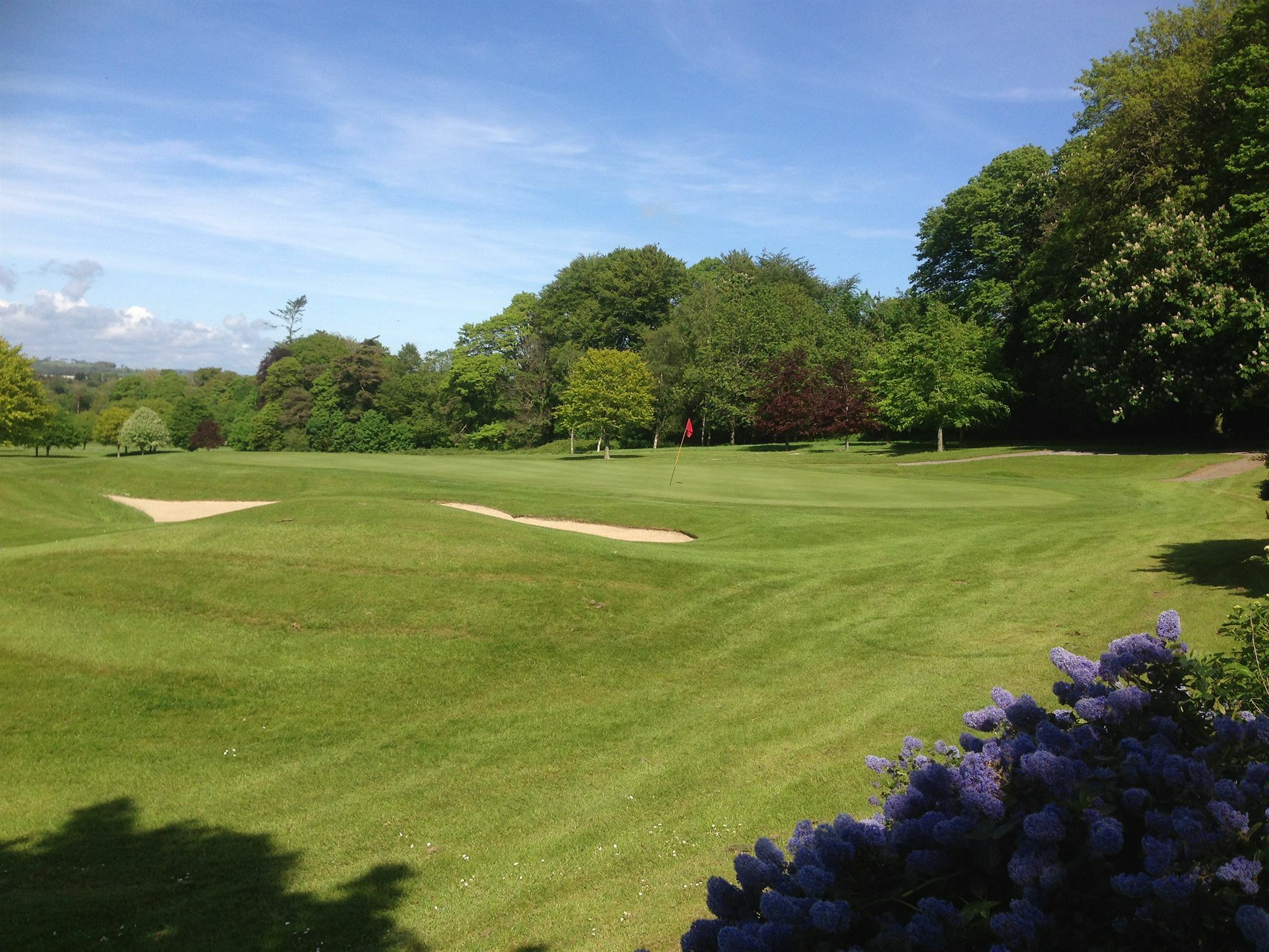 Waterford Castle Hotel & Golf Resort Ballinakill  Esterno foto